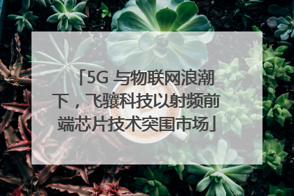5G 与物联网浪潮下，飞骧科技以射频前端芯片技术突围市场