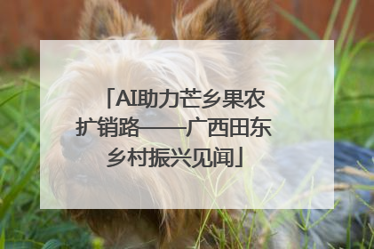 AI助力芒乡果农扩销路——广西田东乡村振兴见闻