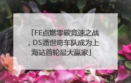 FE点燃零碳竞速之战，DS潘世奇车队成为上海站首轮最大赢家