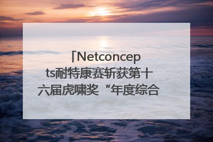 Netconcepts耐特康赛斩获第十六届虎啸奖“年度综合服务商”大奖