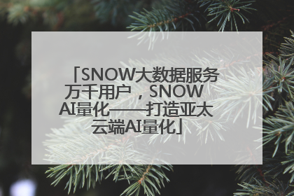 SNOW大数据服务万千用户，SNOW AI量化——打造亚太云端AI量化